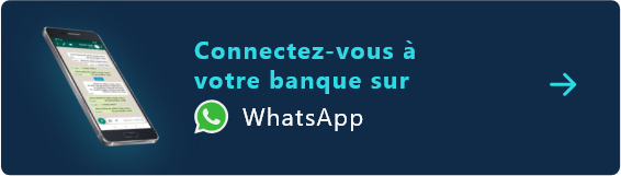 Transport international